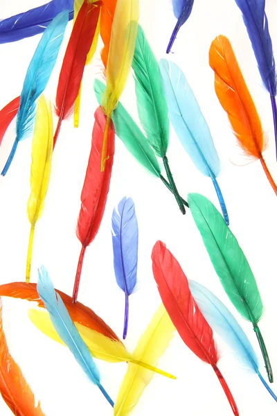 stock image Feathers Background