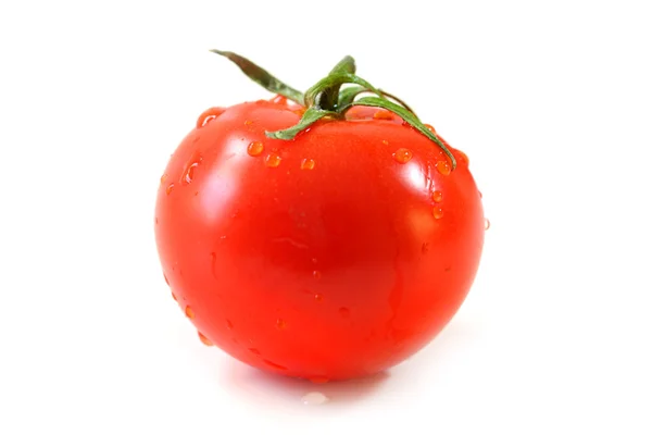 Jeden czerwony pomidor — Zdjęcie stockowe
