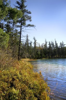 Kuzey Michigan'da küçük bir göl