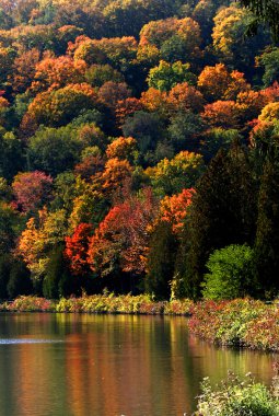 Scenic Autumn Landscape clipart