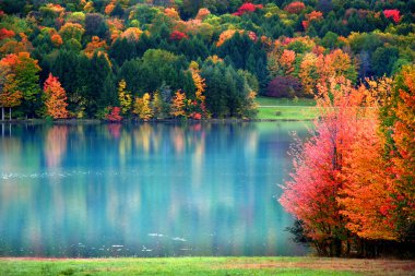 Scenic Autumn landscape clipart