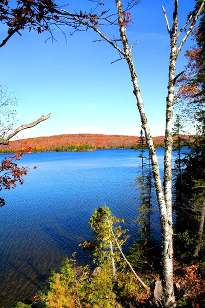 Brzegu jeziora Superior — Zdjęcie stockowe