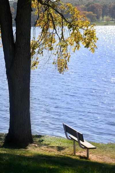 Single Bench — Stock Photo, Image