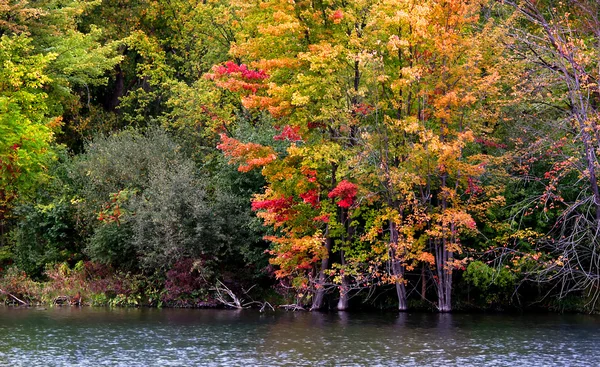 Herfstlandschap — Stockfoto