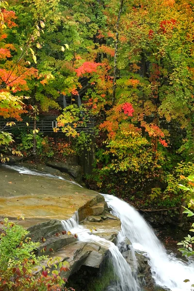 Brandywine Water Falls — Stock Photo, Image