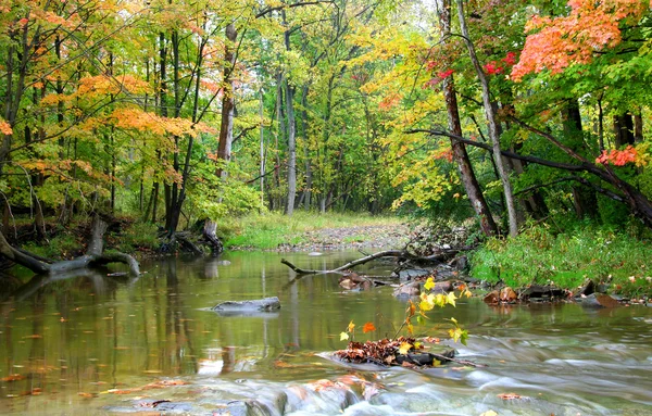 Running Water — Stock Photo, Image