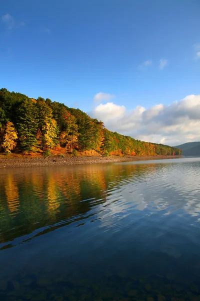 Podzimní stromy podél břehu jezera — Stock fotografie