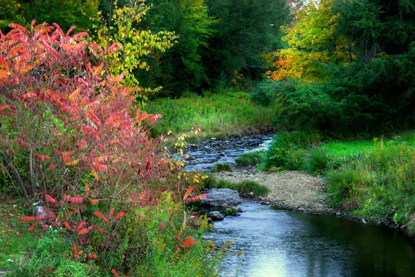 Scenic Autumn landscape — Stock Photo, Image
