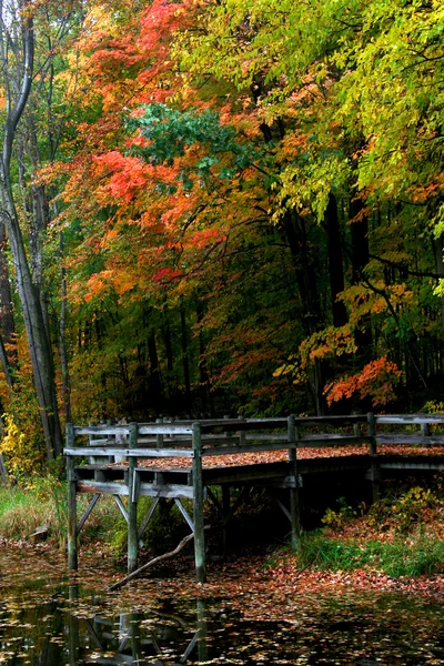 Schilderachtige herfst landschap — Stockfoto
