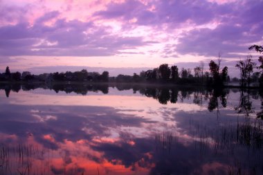 Lake reflections clipart