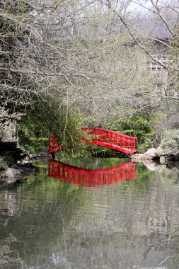 Japanese garden clipart