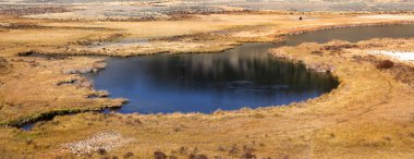 Yellowstone Milli Parkı