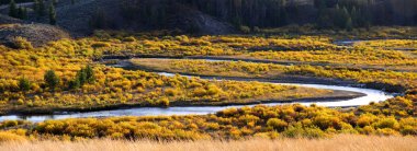 snake river'ın panoramik manzarasını