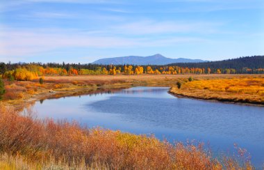 Snake river in Grand Tetons national park clipart