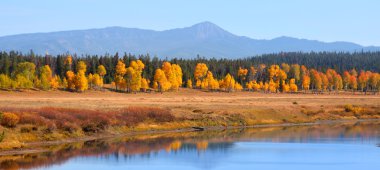 grand tetons'ın panoramik manzarasını