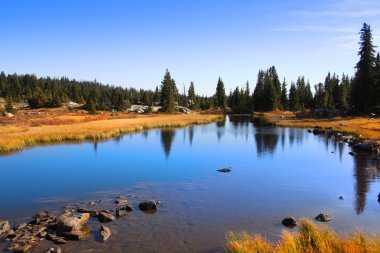 Yellowstone Milli Parkı