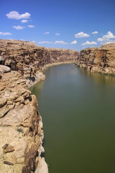 Río Colorado — Foto de Stock