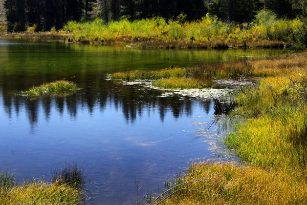 Réflexions dans le lac — Photo