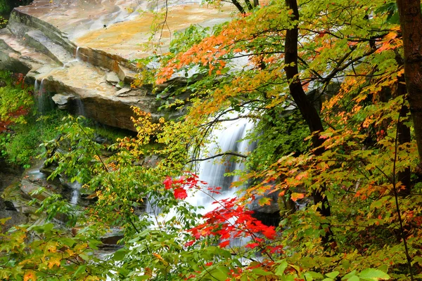 Brandywine Water Falls — Stockfoto