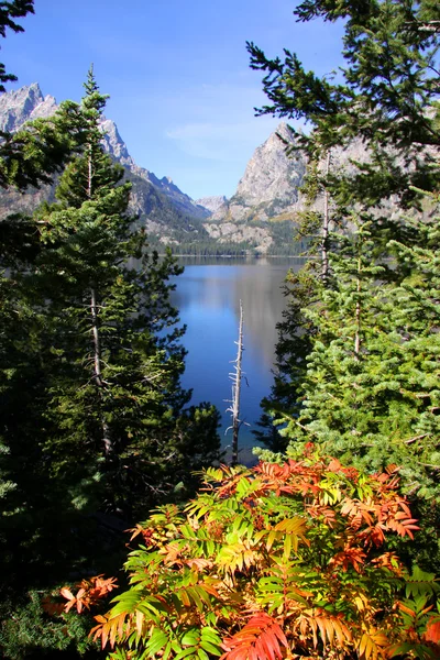 Jenny Lake. — Foto Stock