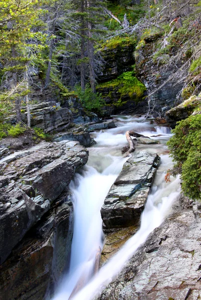 Water fall by Going to the sun road — Stock Photo, Image