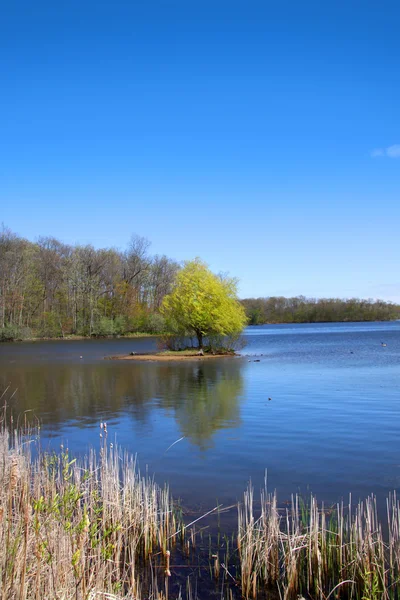 Beautiful lake scene — Stock Photo, Image