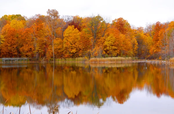 Autumn reflection — Stock Photo, Image