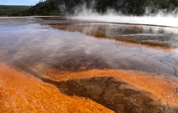 Yellowstone nationalpark — Stockfoto