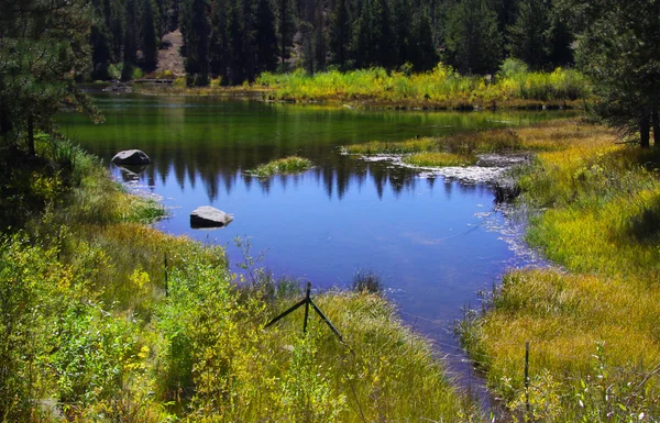 Malebný rybník v národním parku yellowstone — Stock fotografie