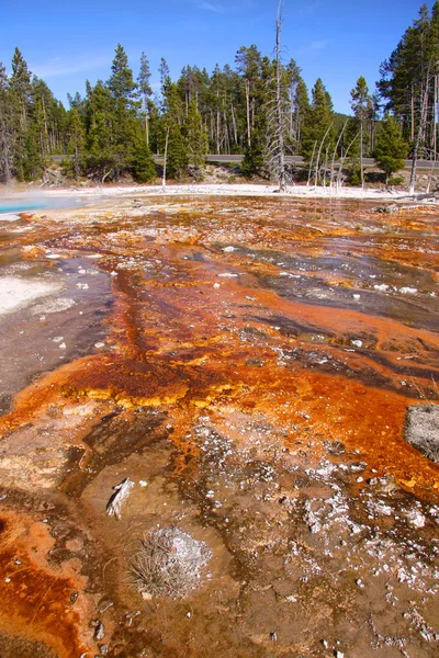 Yellowstone landscape — Stock Photo, Image