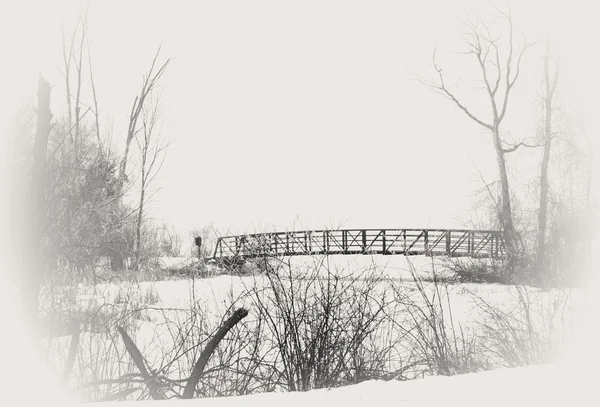 Winter Scene — Stock Photo, Image