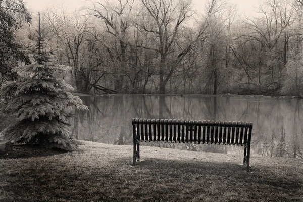 池のそばに空のベンチ — ストック写真
