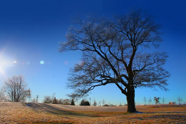Luminosa giornata invernale — Foto Stock