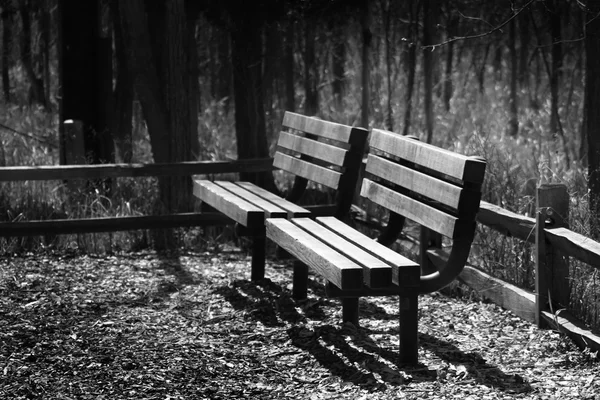 Two Benches — Stock Photo, Image