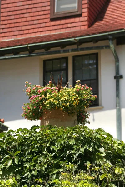 Flower Pot Infront Of Home — Stock Photo, Image