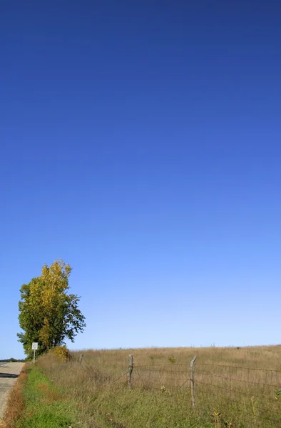 Samotne drzewo w gospodarstwie — Zdjęcie stockowe