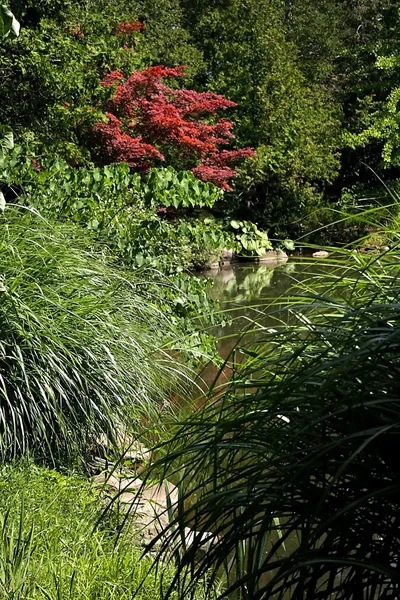 Jardim Verde exuberante — Fotografia de Stock