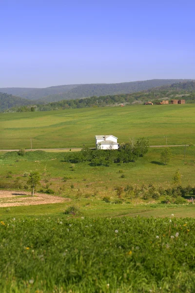 Malownicze farmy ziemie — Zdjęcie stockowe