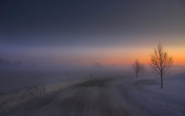 Туманное утро — стоковое фото