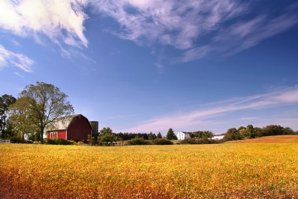 Boerderij landschap — Stockfoto