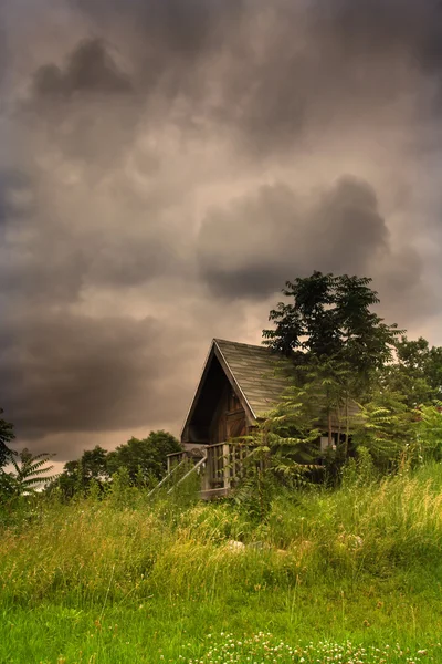 세피아에 아름 다운 풍경 — 스톡 사진