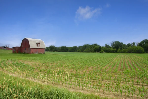 아름 다운 농장 풍경 — 스톡 사진
