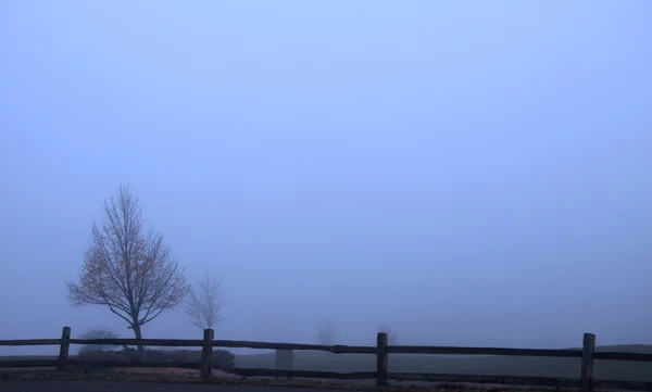 Mlhavé ráno — Stock fotografie