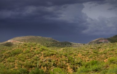 Hill with Cactus plants clipart