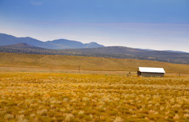 Arizona çöl manzarası