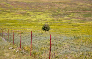 Prairie lands clipart