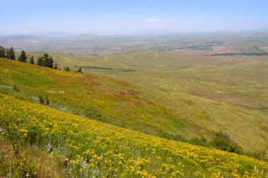 Prairie toprakları