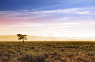 çok güzel bir sabah sahne prairies