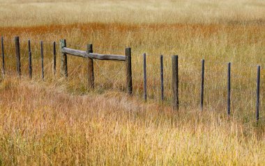 prairies çit