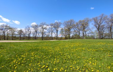 Scenic spring landscape clipart